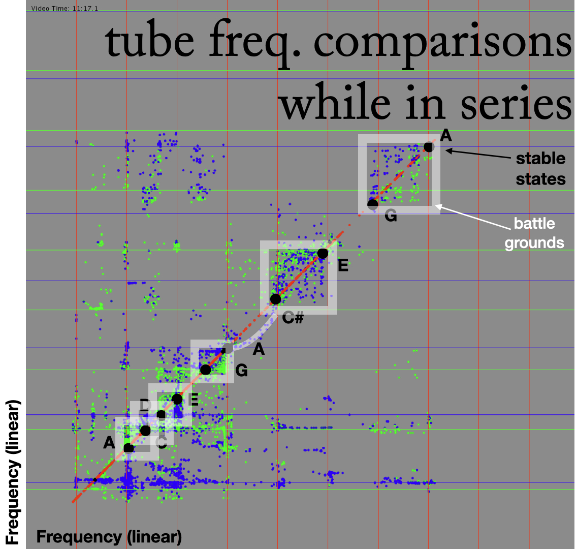 Figure 20: Frequency of C and D tubes in relation to A tube and appearance of “battle grounds.”